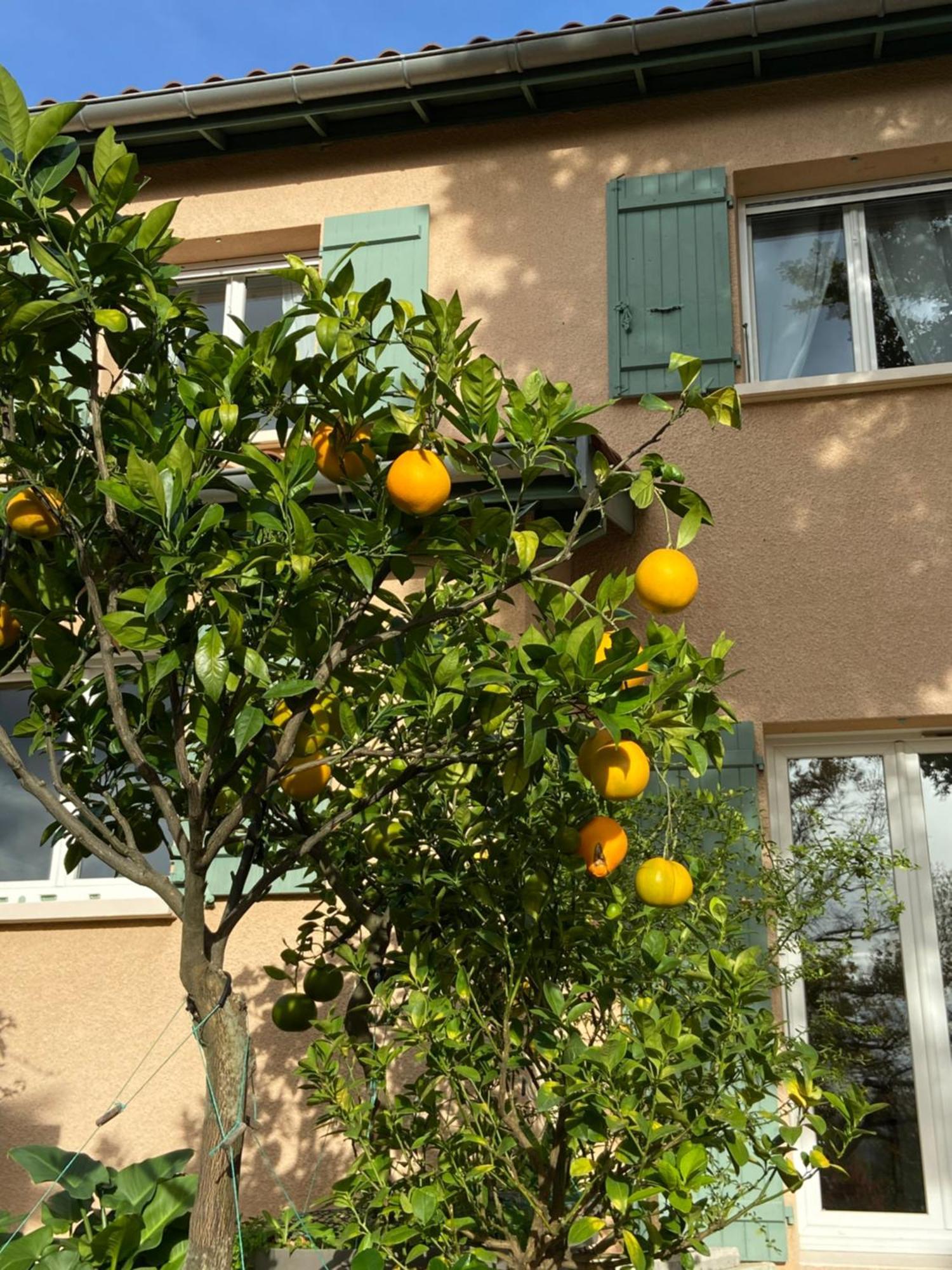 Le Relais Des Malettes Chambres D'Hotes B&B Francheville  Kültér fotó