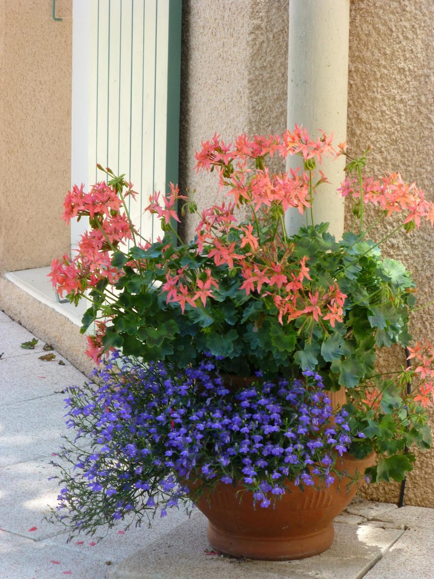 Le Relais Des Malettes Chambres D'Hotes B&B Francheville  Kültér fotó
