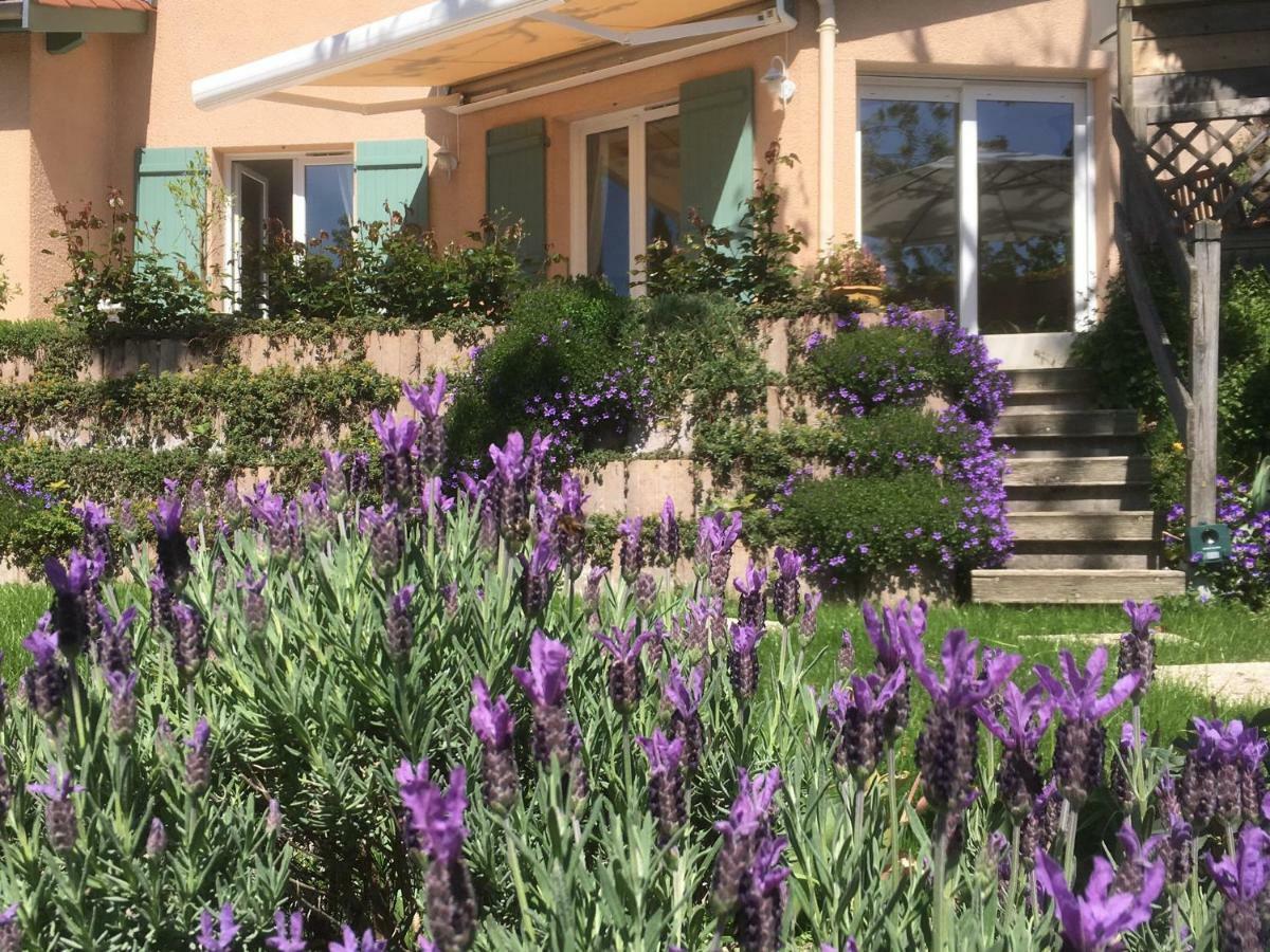 Le Relais Des Malettes Chambres D'Hotes B&B Francheville  Kültér fotó